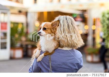 woman in old city. 75317917