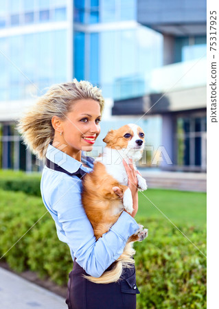 happy blond woman with chihuahua. happy blond woman with chihuahua. 75317925