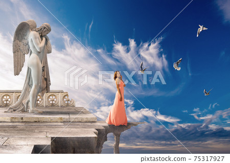 Dream to fly. 75317927