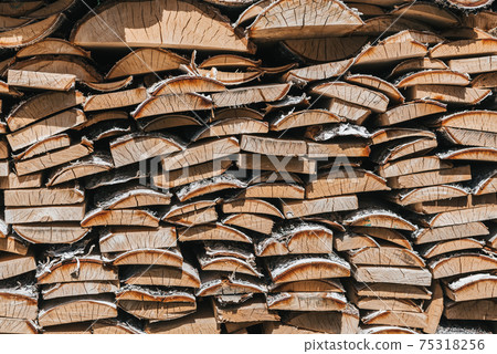 birch wood piled in a woodpile birch wood piled in a woodpile 75318256