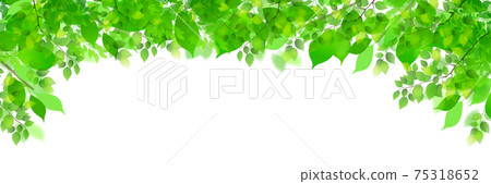 新的綠色葉子春天背景 75318652
