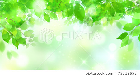 New green leaves Spring background 75318653