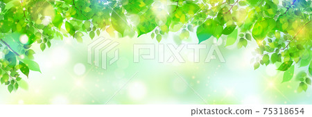 New green leaves Spring background 75318654