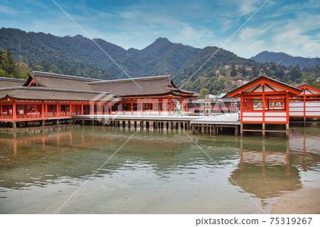 Itsukushima Shrine-Spring 75319267