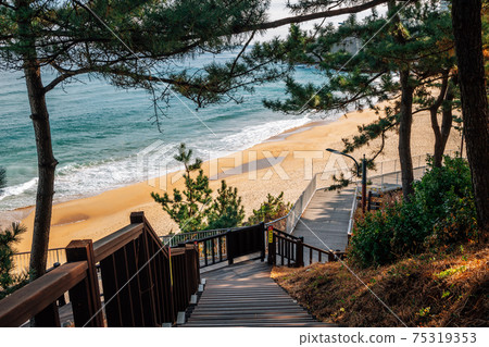View of Jeungsan Beach from Isabu Lion Park in Samcheok, Korea View of Jeungsan Beach from Isabu Lion Park in Samcheok, Korea 75319353