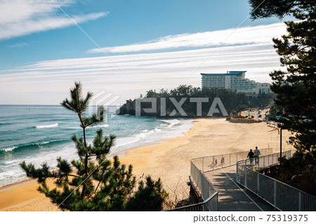 View of Jeungsan Beach from Isabu Lion Park in Samcheok, Korea View of Jeungsan Beach from Isabu Lion Park in Samcheok, Korea 75319375