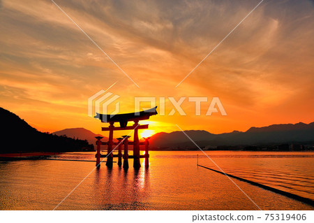 Itsukushima Shrine-Spring 75319406