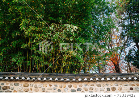Bamboo forest and Korean traditional wall at Jukseoru Pavilion in Samcheok, Korea Bamboo forest and Korean traditional wall at Jukseoru Pavilion in Samcheok, Korea 75319422