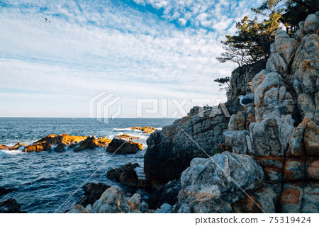 Jangho Port sea and rock in Samcheok, Korea 75319424
