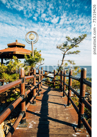 Jangho Port seaside trail in Samcheok, Korea 75319426