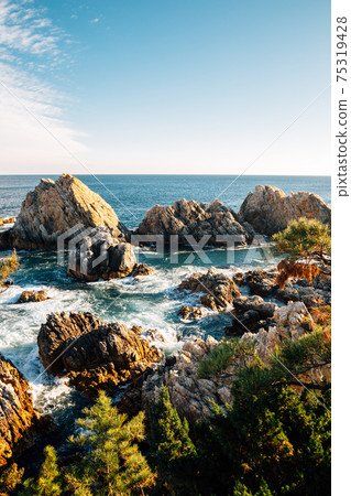 Jangho Port sea and rock in Samcheok, Korea 75319428