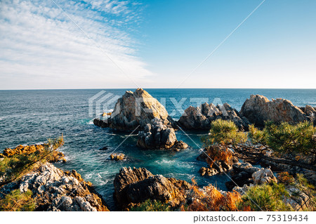 Jangho Port sea and rock in Samcheok, Korea 75319434