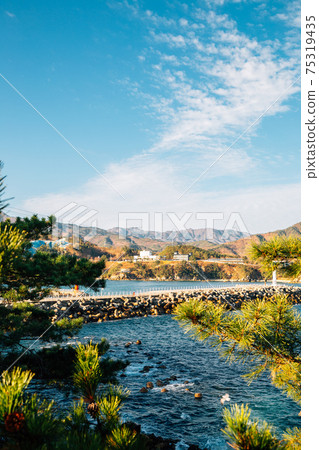 View of Jangho Port in Samcheok, Korea 75319435