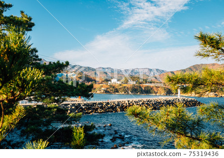 View of Jangho Port in Samcheok, Korea View of Jangho Port in Samcheok, Korea 75319436