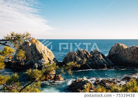 Jangho Port sea and rock in Samcheok, Korea 75319438