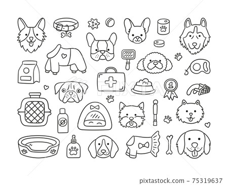 Set of heads of different breeds dogs and canine accessories. Collar, leash, muzzle, carrier, food, clothing. 75319637