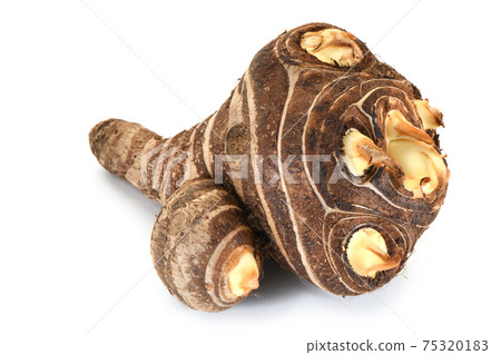 Eight heads 75320183