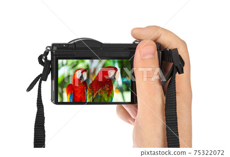 Hand with camera and Parrots in Bali Indonesia (my photo) 75322072