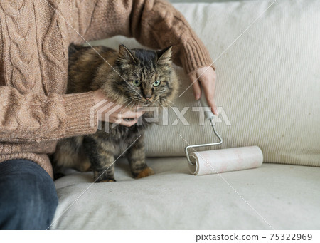 Woman cleaning the room Woman cleaning the room 75322969