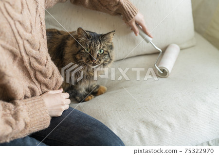 Woman cleaning the room Woman cleaning the room 75322970