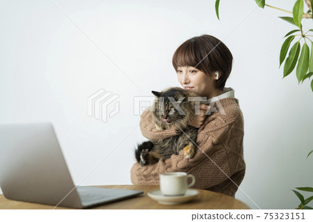 A woman whose work is disturbed by a cat 75323151