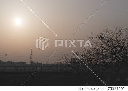 冬季景觀 75323601