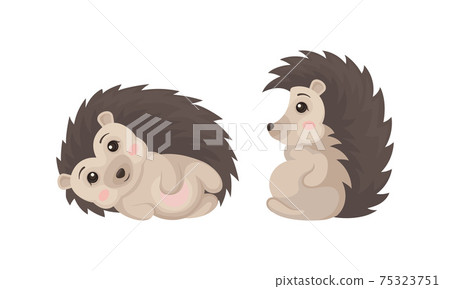 Cute Hedgehog in Various Poses as Prickly Forest Animal Vector Set 75323751