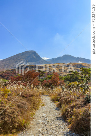 Autumn Ebino Plateau Mt. Karakuni and mountain trails Ebino City, Miyazaki Prefecture Autumn Ebino Plateau Mt. Karakuni and mountain trails Ebino City, Miyazaki Prefecture 75324159