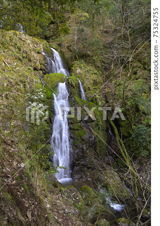 Kirino Kotaki（兵庫縣豐岡市出石町） 75324755