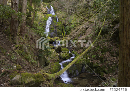 Kirino Kotaki（兵庫縣豐岡市出石町） 75324756