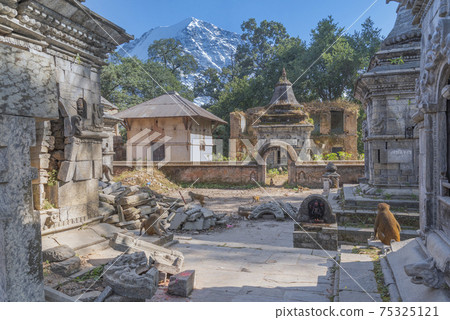 Pashupatinath is a Hindu temple complex in Kathmandu. 75325121