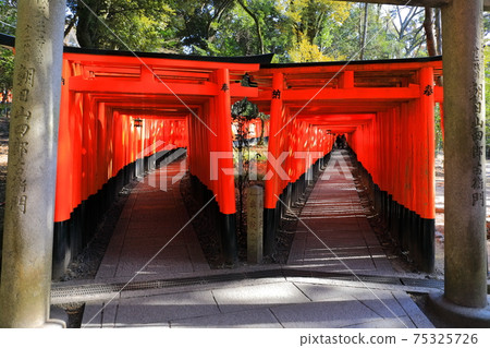 Kyoto Fushimi Inari Taisha Senbon Torii Stock Photo