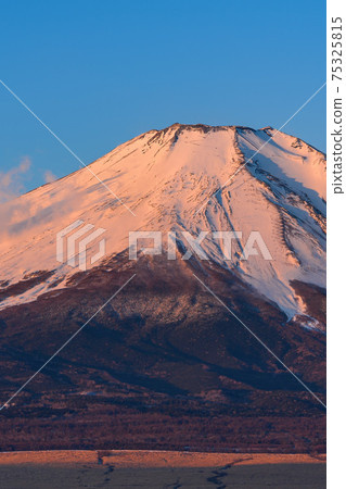 寒冷的夏天紅富士 寒冷的夏天紅富士 75325815