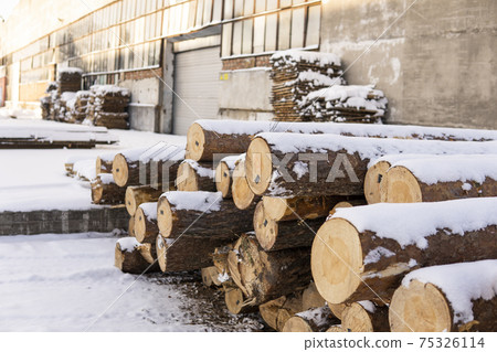 A pile of logs on a sawmill under the layer of snow in the winter season. 75326114