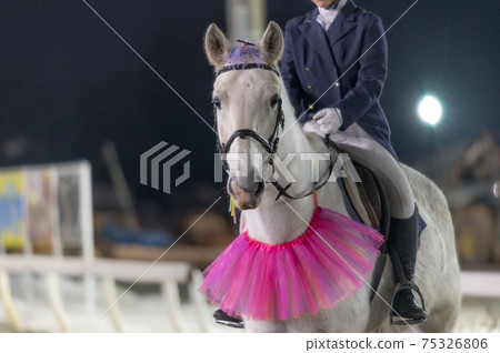 Hokkaido Heritage Banei Horse Racing Hokkaido Heritage Banei Horse Racing 75326806