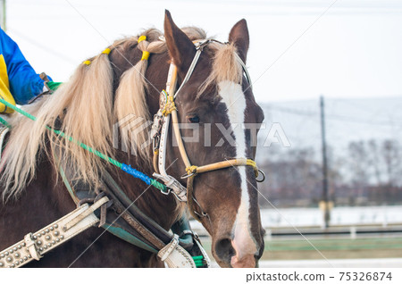 Hokkaido Heritage Banei Horse Racing 75326874