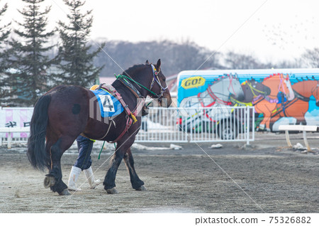 北海道遺產Banei賽馬 75326882