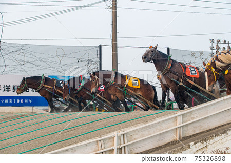 Hokkaido Heritage Banei Horse Racing 75326898