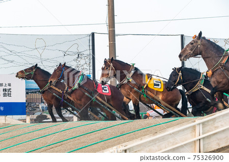 Hokkaido Heritage Banei Horse Racing 75326900