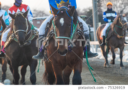 北海道遺產Banei賽馬 75326919