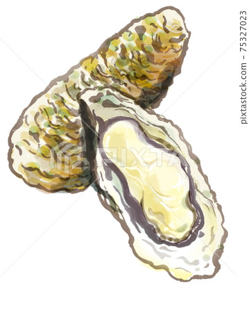 新鮮牡蠣2 新鮮牡蠣2 75327023