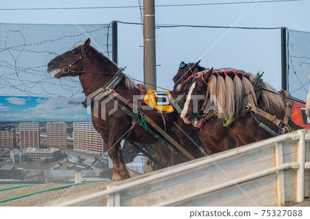 北海道遺產Banei賽馬 北海道遺產Banei賽馬 75327088