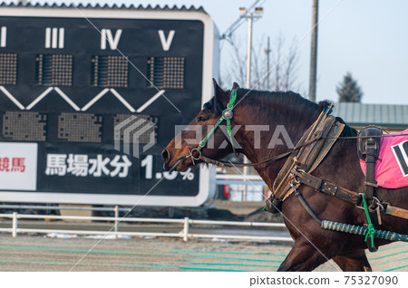 Hokkaido Heritage Banei Horse Racing 75327090