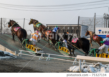 Hokkaido Heritage Banei Horse Racing 75327134