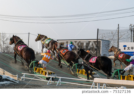 Hokkaido Heritage Banei Horse Racing 75327136