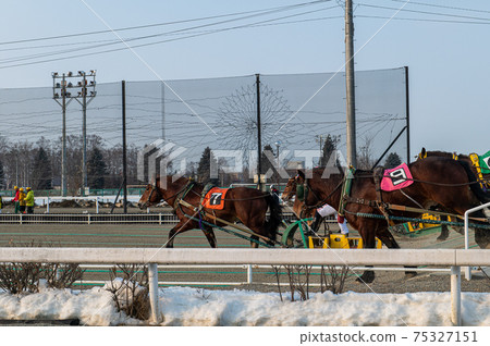 Hokkaido Heritage Banei Horse Racing Hokkaido Heritage Banei Horse Racing 75327151