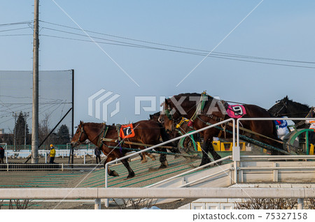 北海道遺產Banei賽馬 75327158