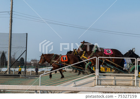 北海道遺產Banei賽馬 75327159