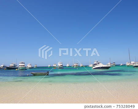 羅特尼斯島美麗的海灘 75328049