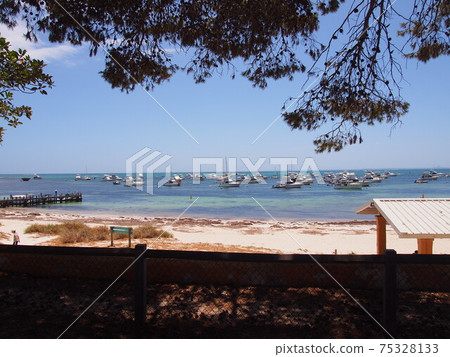 Rottnest Island beautiful beach Rottnest Island beautiful beach 75328133